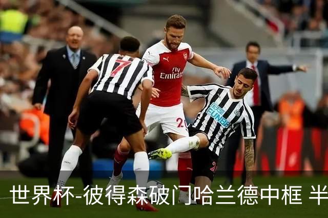 世界杯-彼得森破门哈兰德中框 半场挪威1-0塞内加尔